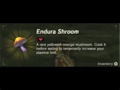 Where to find endura shroom botw  Look around these locations to farm for Silent Shrooms